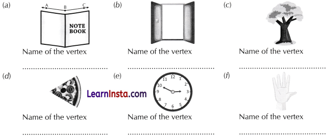Lines and Angles Class 6 Worksheet with Answers Maths Chapter 2 12