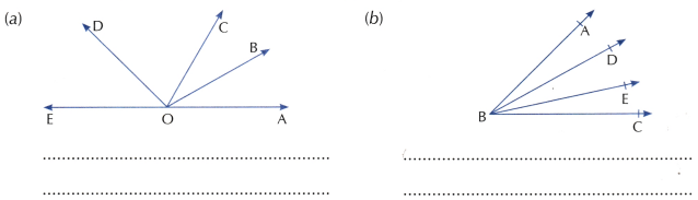 Lines and Angles Class 6 Worksheet with Answers Maths Chapter 2 14