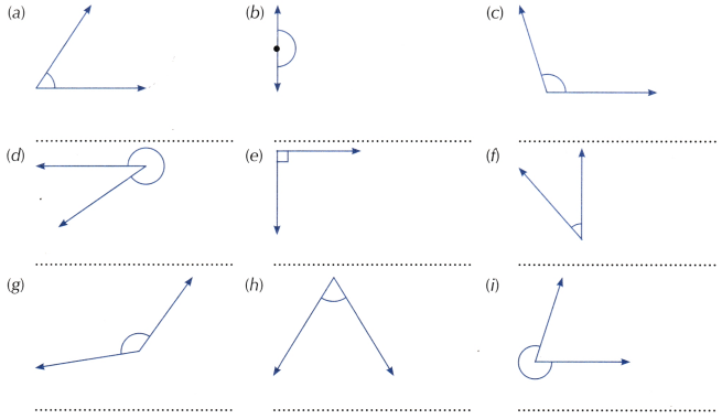 Lines and Angles Class 6 Worksheet with Answers Maths Chapter 2 22