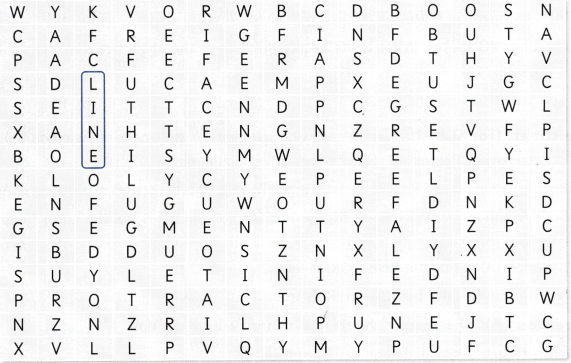 Lines and Angles Class 6 Worksheet with Answers Maths Chapter 2 31