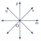 Lines and Angles Class 6 Worksheet with Answers Maths Chapter 2 35