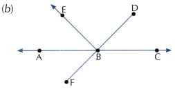 Lines and Angles Class 6 Worksheet with Answers Maths Chapter 2 7
