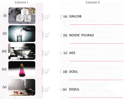 Particulate Nature of Matter Class 8 Worksheet with Answers Science Chapter 7 1