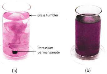 Particulate Nature of Matter Class 8 Worksheet with Answers Science Chapter 7 2