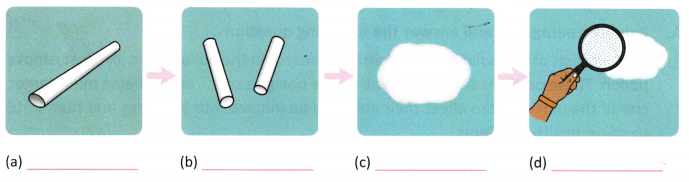 Particulate Nature of Matter Class 8 Worksheet with Answers Science Chapter 7 3
