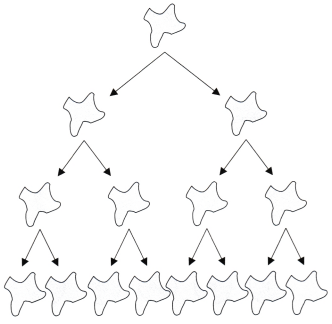 Patterns in Mathematics Class 6 Worksheet with Answers Maths Chapter 1 19