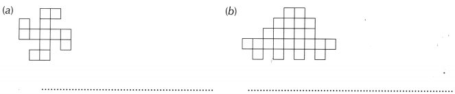 Perimeter and Area Class 6 Worksheet with Answers Maths Chapter 6 10