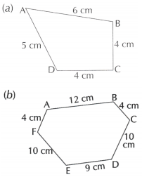 Perimeter and Area Class 6 Worksheet with Answers Maths Chapter 6 2