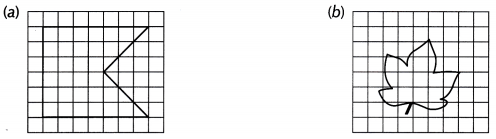 Perimeter and Area Class 6 Worksheet with Answers Maths Chapter 6 20