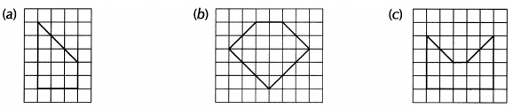 Perimeter and Area Class 6 Worksheet with Answers Maths Chapter 6 22