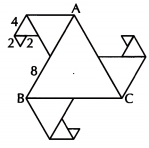 Perimeter and Area Class 6 Worksheet with Answers Maths Chapter 6 26