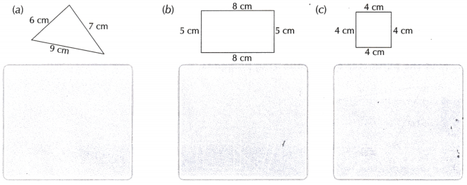 Perimeter and Area Class 6 Worksheet with Answers Maths Chapter 6 6