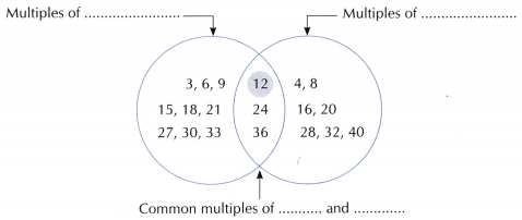 Prime Time Class 6 Worksheet with Answers Maths Chapter 5 4