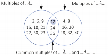Prime Time Class 6 Worksheet with Answers Maths Chapter 5 5