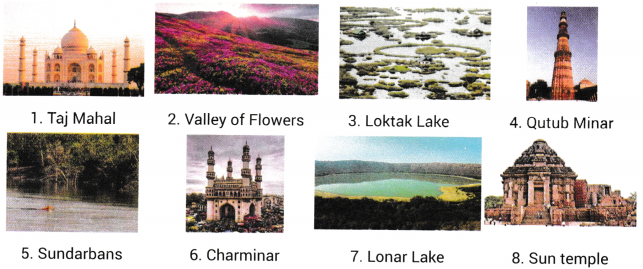 Spectacular Wonders Class 8 Worksheet with Answers English Chapter 9 1