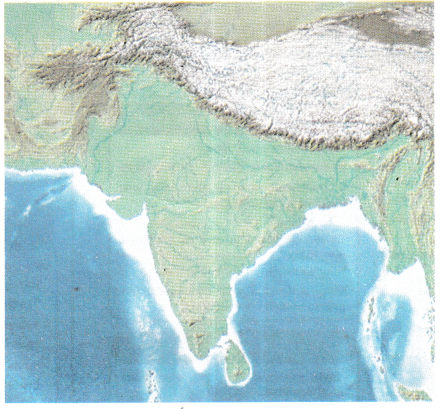 The Age of Reorganisation Class 7 Worksheet with Answers Social Science Chapter 6 2