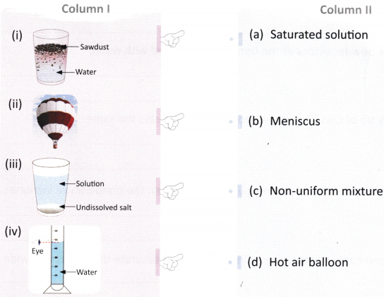 The Amazing World of Solutes, Solvents, and Solutions Class 8 Worksheet with Answers Science Chapter 9 1