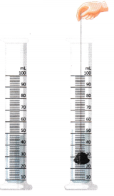The Amazing World of Solutes, Solvents, and Solutions Class 8 Worksheet with Answers Science Chapter 9 2