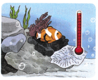 The Amazing World of Solutes, Solvents, and Solutions Class 8 Worksheet with Answers Science Chapter 9 6