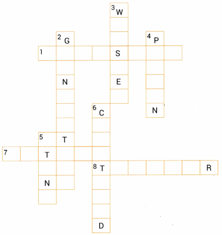 The Magic Brush of Dreams Class 8 Worksheet with Answers English Chapter 8 1