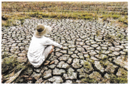 Waiting for the Rain Class 8 Worksheet with Answers English Chapter 12 2