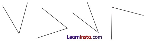 Constructions and Tilings Class 7 Solutions Maths Ganita Prakash Part 2 Chapter 6 13