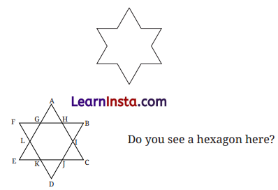 Constructions and Tilings Class 7 Solutions Maths Ganita Prakash Part 2 Chapter 6 21