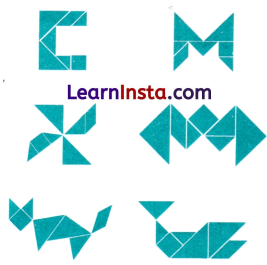 Constructions and Tilings Class 7 Solutions Maths Ganita Prakash Part 2 Chapter 6 35