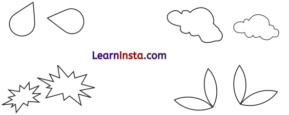 Geometric Twins Class 7 Solutions Maths Ganita Prakash Part 2 Chapter 1 2