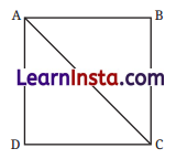 Geometric Twins Class 7 Solutions Maths Ganita Prakash Part 2 Chapter 1 33