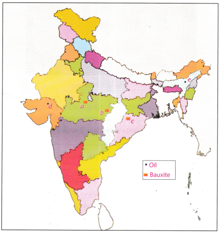 Natural Resources and Their Use Class 8 Worksheet with Answers Social Science Chapter 1 2