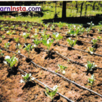 The Story of Indian Farming Class 7 Questions and Answers Social Science Chapter 1 1