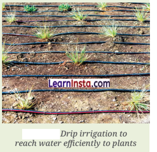 The Story of Indian Farming Class 7 Questions and Answers Social Science Chapter 1 3