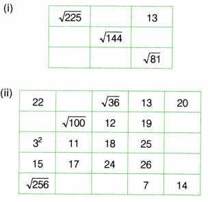 A Square and A Cube Class 8 Extra Questions Maths Chapter 1 10