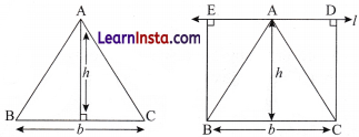 Area Class 8 Solutions Maths Ganita Prakash Part 2 Chapter 7 Page 163 Q5