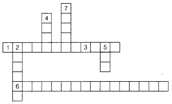 Exploring Some Geometric Themes Class 8 Extra Questions Maths Part 2 Chapter 4 35