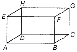 Exploring Some Geometric Themes Class 8 Extra Questions Maths Part 2 Chapter 4 8