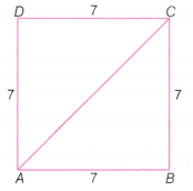 The Baudhayana Pythagoras Theorem Class 8 Extra Questions Maths Part 2 Chapter 2 1
