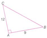 The Baudhayana Pythagoras Theorem Class 8 Extra Questions Maths Part 2 Chapter 2 2