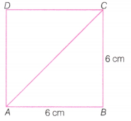 The Baudhayana Pythagoras Theorem Class 8 Extra Questions Maths Part 2 Chapter 2 7