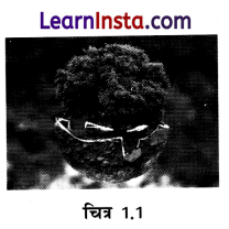 Class 8 SST Chapter 1 Notes in Hindi प्राकृतिक संसाधन एवं उनका उपयोग 1