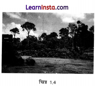 Class 8 SST Chapter 1 Notes in Hindi प्राकृतिक संसाधन एवं उनका उपयोग 4