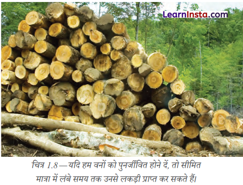 Class 8 SST Chapter 1 Question Answer in Hindi प्राकृतिक संसाधन एवं उनका उपयोग 6