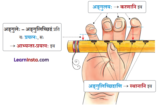 Class 9 Sanskrit Chapter 11 Hindi Translation वर्णोच्चारण-शिक्षा २ Summary 2