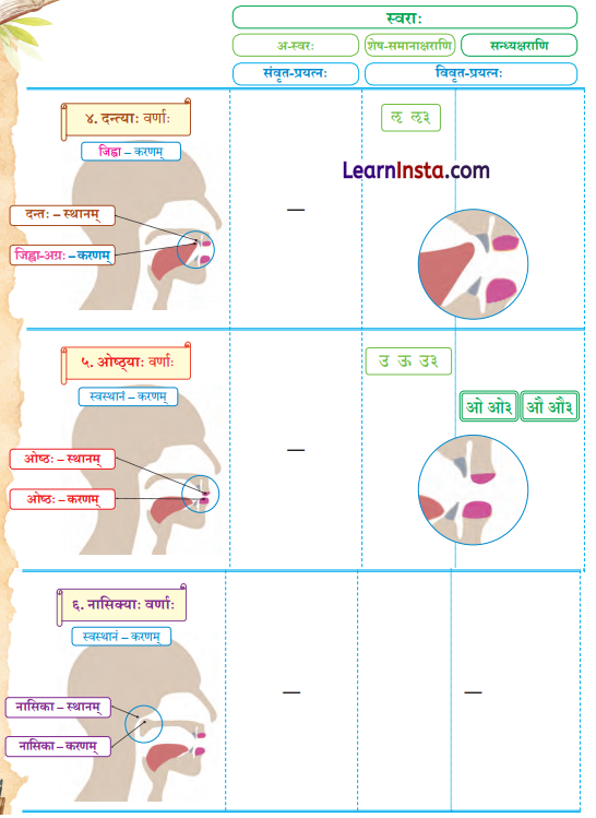 Class 9 Sanskrit Chapter 11 Hindi Translation वर्णोच्चारण-शिक्षा २ Summary 9