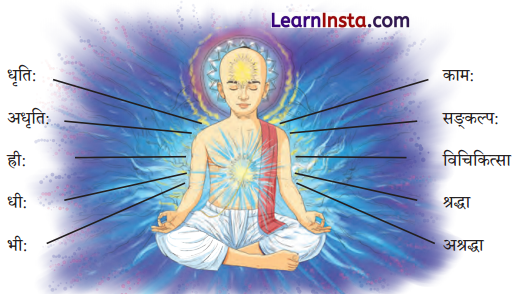Class 9 Sanskrit Chapter 8 Hindi Translation अन्नाद् आनन्दं प्रति Summary 10