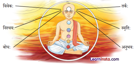 Class 9 Sanskrit Chapter 8 Hindi Translation अन्नाद् आनन्दं प्रति Summary 11