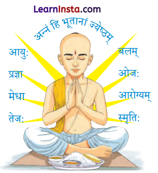 Class 9 Sanskrit Chapter 8 Hindi Translation अन्नाद् आनन्दं प्रति Summary 9