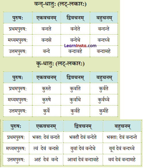 Class 9 Sanskrit Chapter 8 Question Answer अन्नाद् आनन्दं प्रति 12