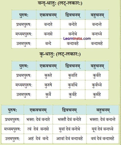 Class 9 Sanskrit Chapter 8 Question Answer अन्नाद् आनन्दं प्रति 13